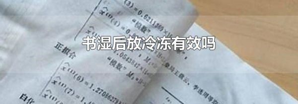 书湿后放冷冻有效吗