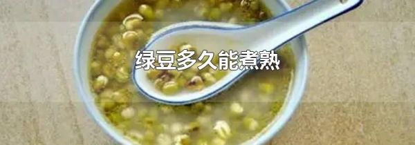 绿豆多久能煮熟