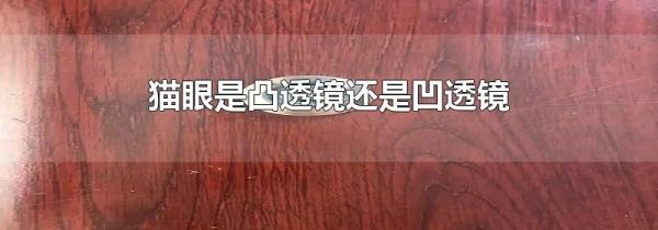 猫眼是凸透镜还是凹透镜