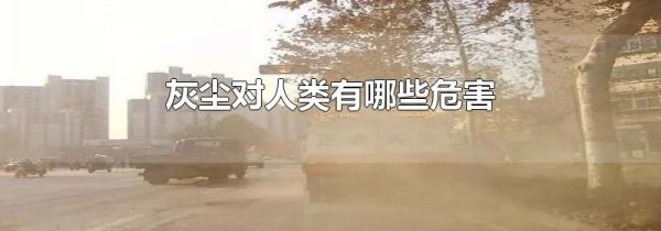 灰尘对人类有哪些危害