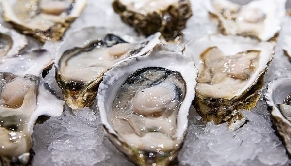 生蚝要怎么清洗 生蚝要怎么清洗里面的肉