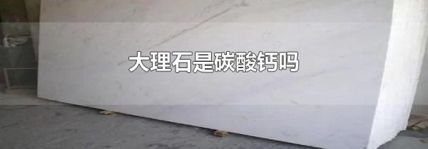 大理石是碳酸钙吗