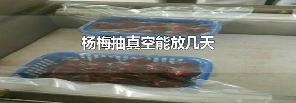 杨梅抽真空能放几天