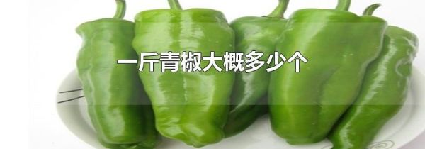 一斤青椒大概多少个
