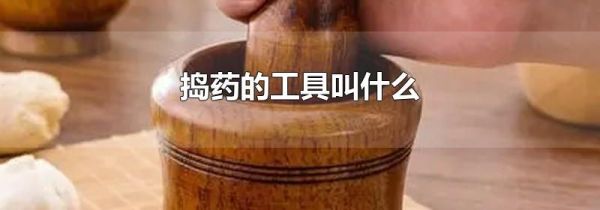 捣药的工具叫什么