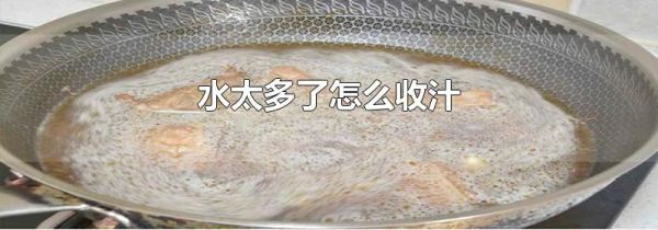 水太多了怎么收汁
