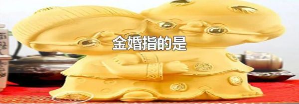 金婚指的是