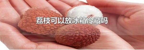 荔枝可以放冰箱冷藏吗