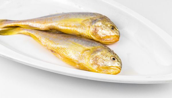 黄花鱼刺多不多 黄花鱼营养价值