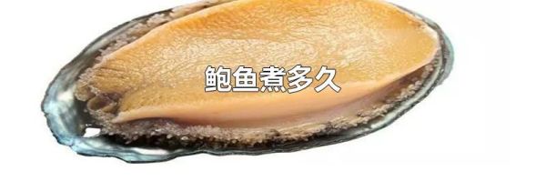 鲍鱼煮多久