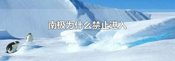 南极为什么禁止进入
