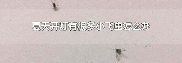 夏天开灯有很多小飞虫怎么办