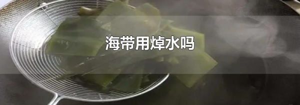海带用焯水吗