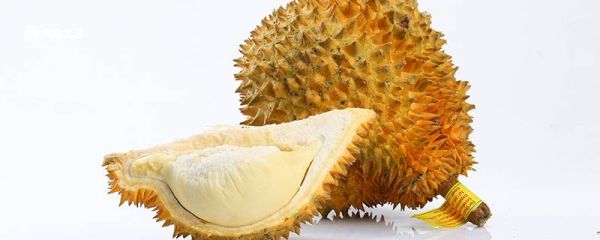 榴莲打开没有熟怎么办 榴莲打开没有熟怎么解决