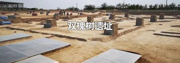 双槐树遗址