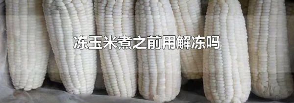 冻玉米煮之前用解冻吗
