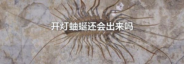 开灯蚰蜒还会出来吗