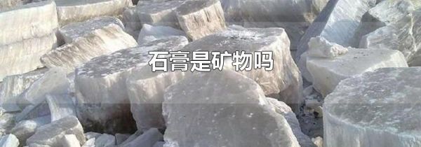 石膏是矿物吗