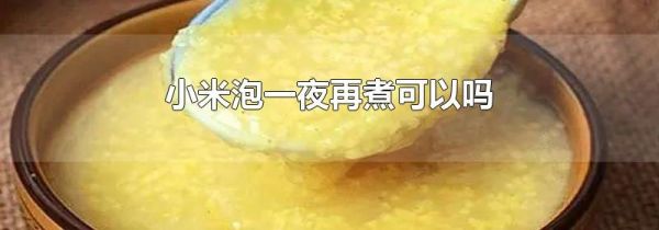 小米泡一夜再煮可以吗