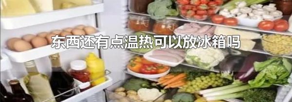东西还有点温热可以放冰箱吗