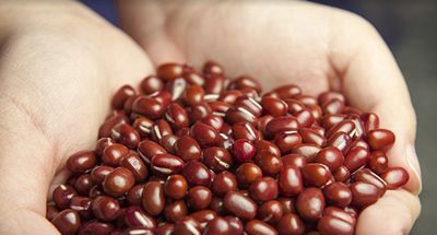 冬至进补羊肉，千万不要和这些食物一起吃！