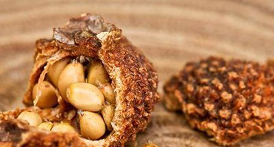 冬至后多吃这些食物,恢复皮肤弹性更有女人味