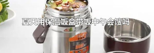 夏天用保温饭盒带饭中午会馊吗