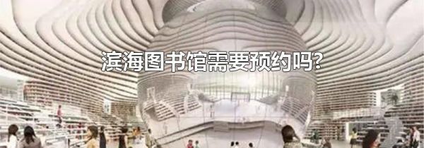 滨海图书馆需要预约吗?