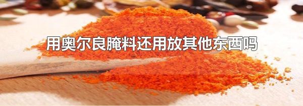 用奥尔良腌料还用放其他东西吗