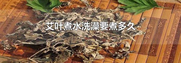 艾叶煮水洗澡要煮多久