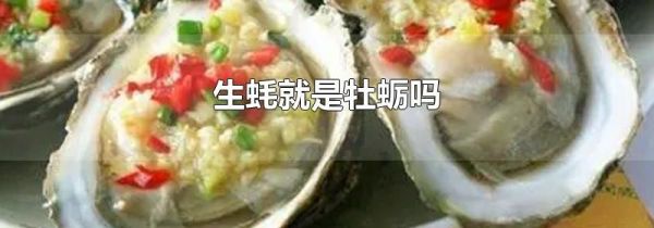 生蚝就是牡蛎吗