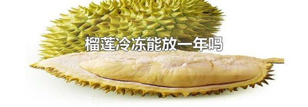 榴莲冷冻能放一年吗