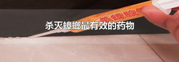 杀灭蟑螂最有效的药物