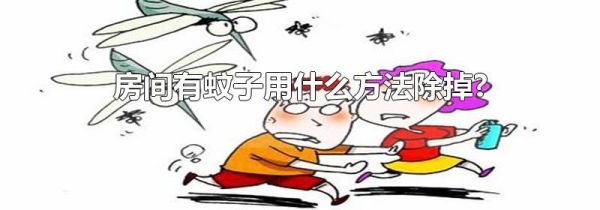 房间有蚊子用什么方法除掉?