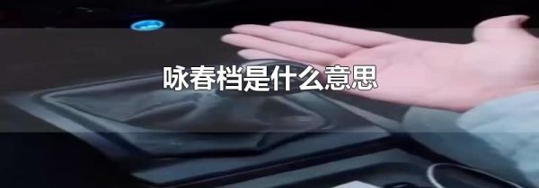 咏春档是什么意思