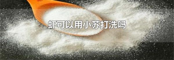 虾可以用小苏打洗吗
