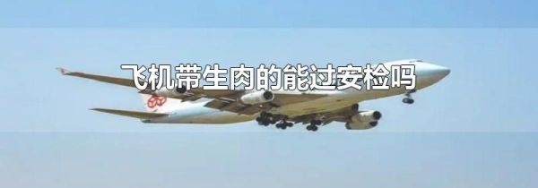 飞机带生肉的能过安检吗