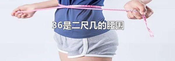 36是二尺几的腰围
