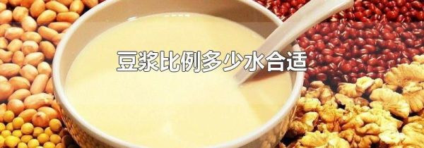 豆浆比例多少水合适