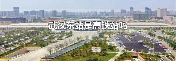 武汉东站是高铁站吗