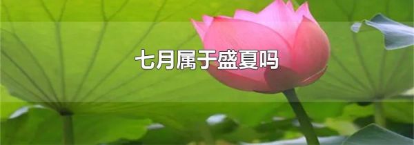 七月属于盛夏吗