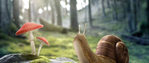 为什么蜗牛爬过的地方会留下痕迹？