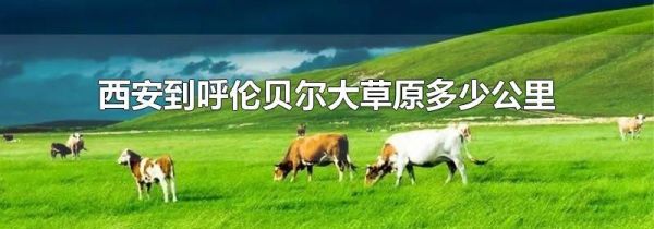 西安到呼伦贝尔大草原多少公里
