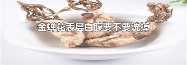 金蝉花表层白膜要不要洗掉