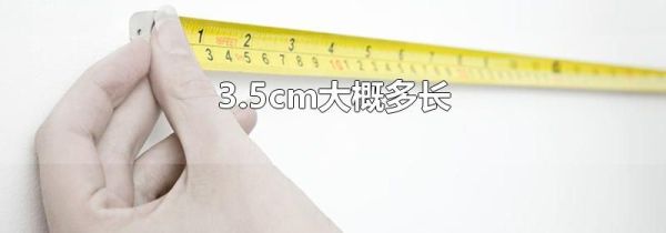 3.5cm大概多长