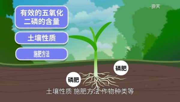 什么是磷肥 天然的磷钾肥有哪些