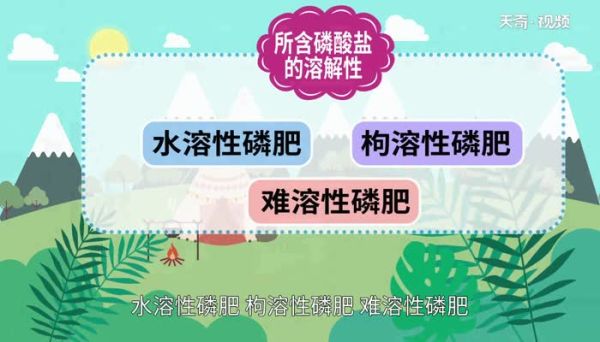 什么是磷肥 天然的磷钾肥有哪些