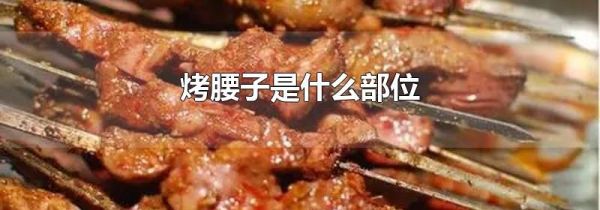 烤腰子是什么部位