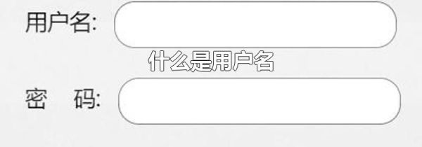 什么是用户名