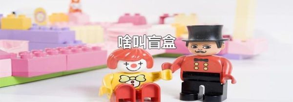 啥叫盲盒